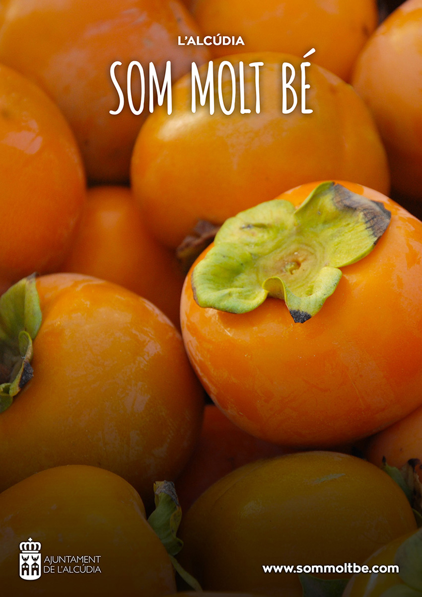 sommoltbe-850x638-020