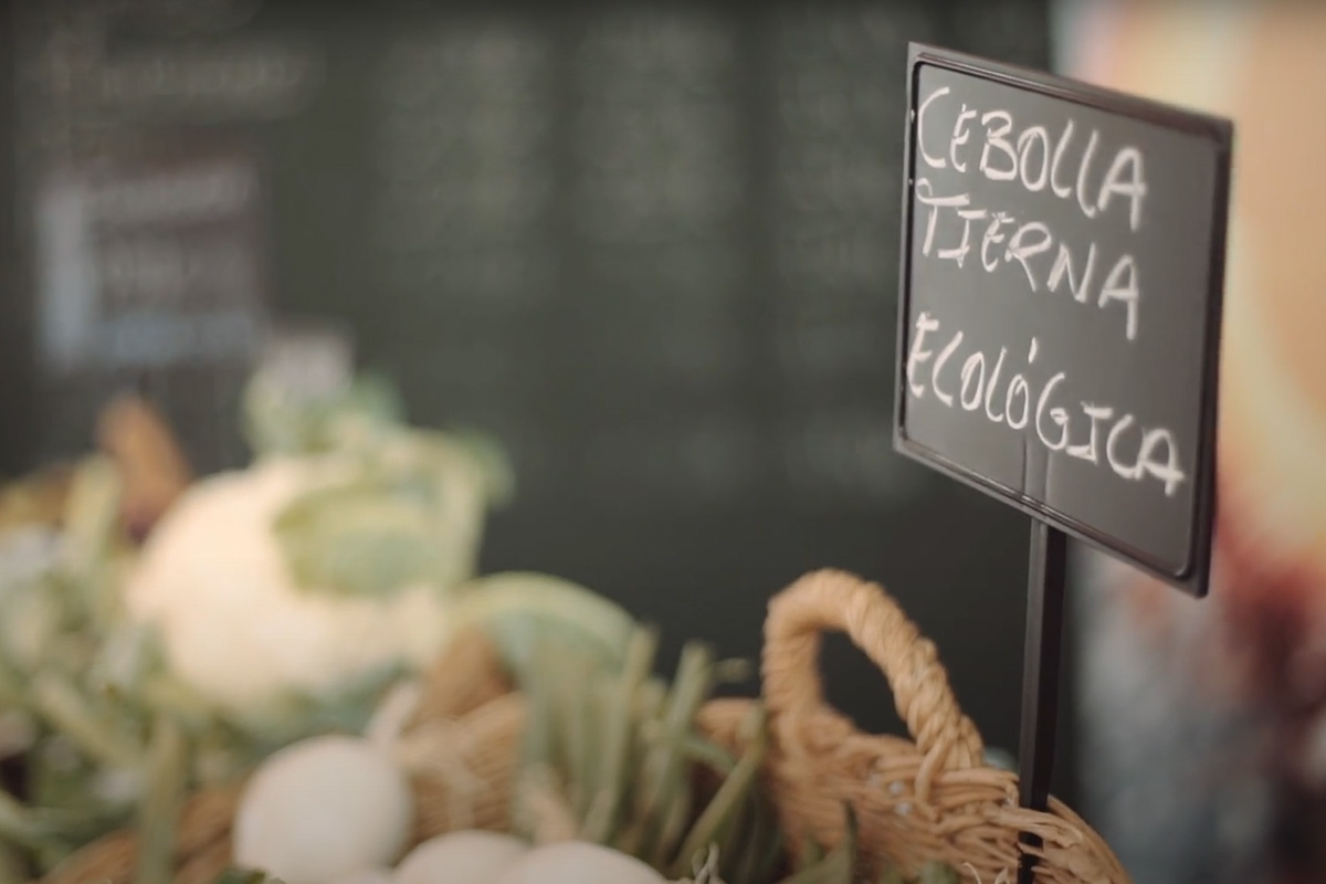 Carrusel Próximos a ti - Campaña de comercio local hecha por CREAZIONA 008