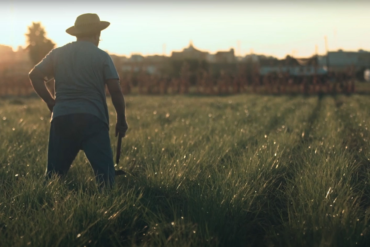 Carrusel Próximos a ti - Campaña de comercio local hecha por CREAZIONA 010